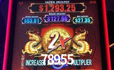 Descubra o Mundo do Cassino Online com 78955